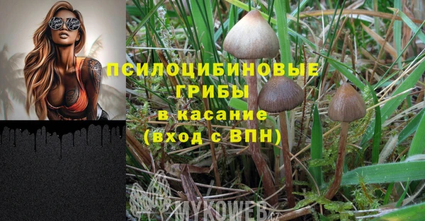 мескалин Баксан