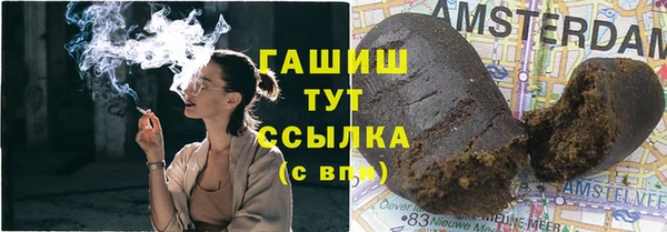 индика Бугульма