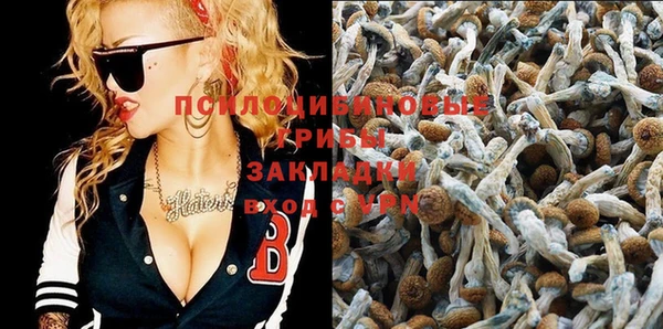 spice Арсеньев